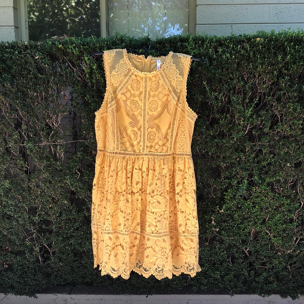 Pastel yellow lace dress, NWOT